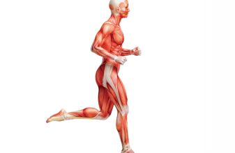 Runner's Anatomy: Οι μύες των δρομέων