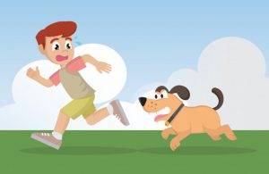 Σκύλος επιτέθηκε σε δρομεά στο κωπηλατοδρόμιο Σχοινιά