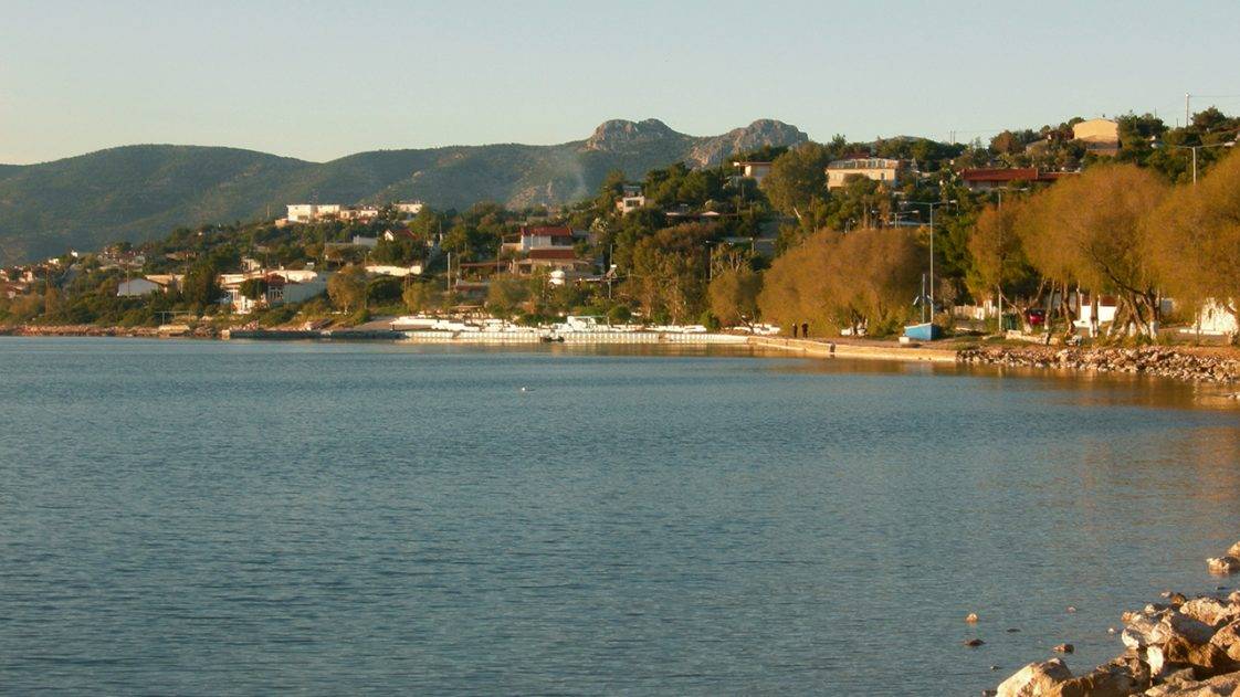 Βασιλικά Σαλαμίνας