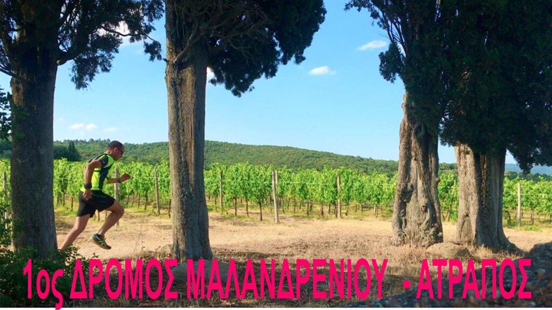 1ος Αγώνας Μαλανδρενίου