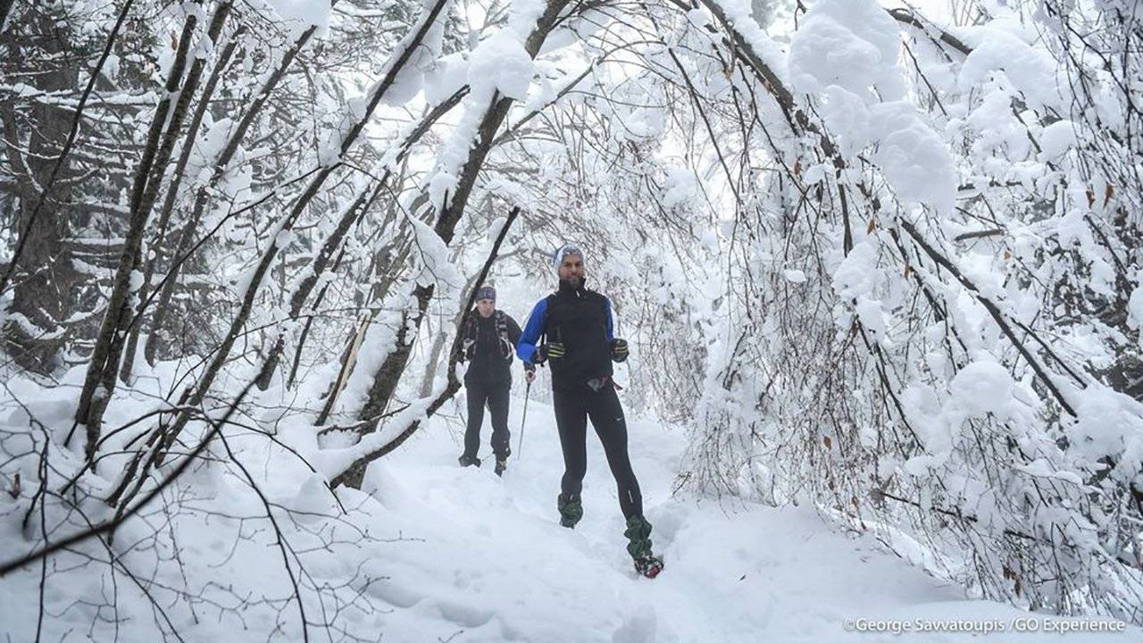Αγώνας Trail Rogkas