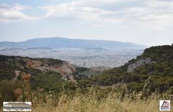 13th Poikilo Rocky Mountain