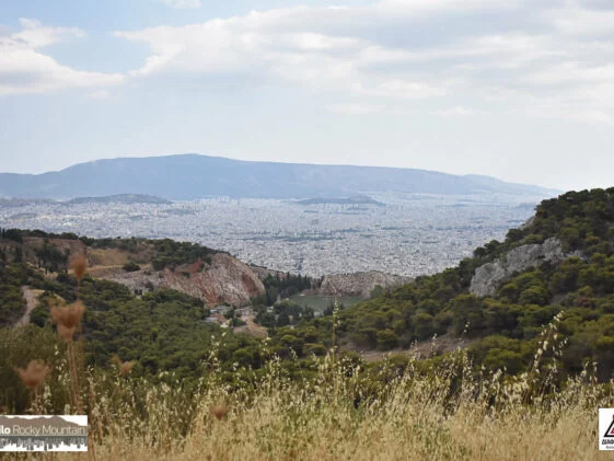 Poikilo Rocky Mountain 2021