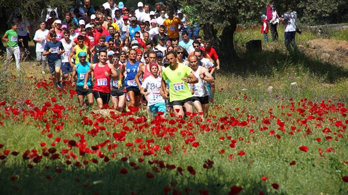 5οι ΠΑΝΤΡΟΙΖΗΝΙΑΚΟΙ ΑΓΩΝΕΣ "Στο Δρόμο του ΘΗΣΕΑ"