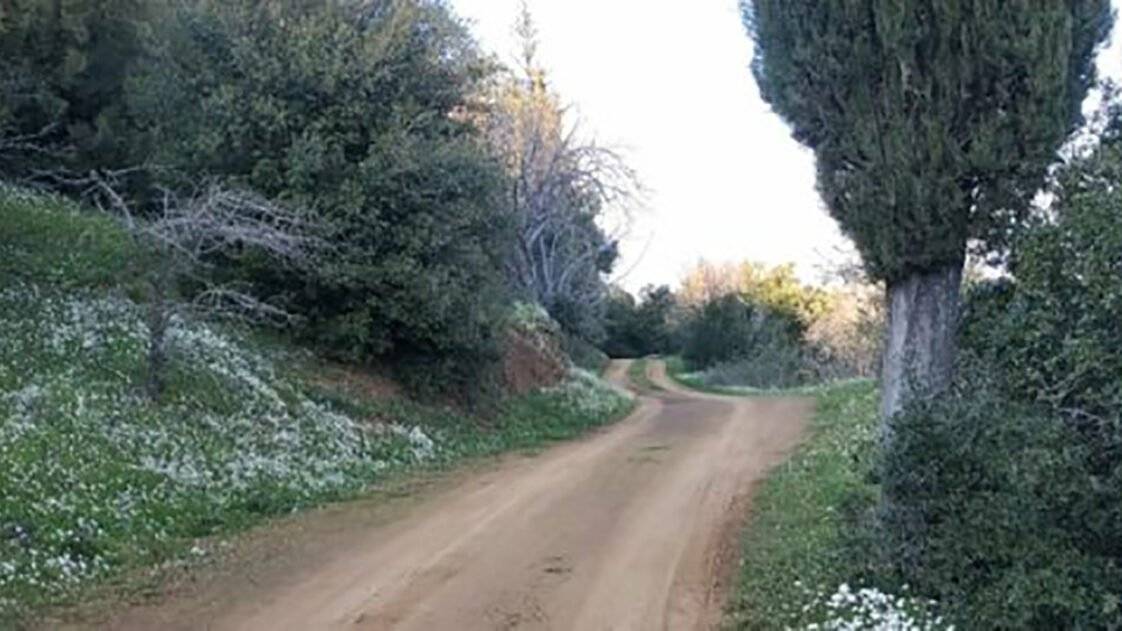 Γόμφοι Trail - Στα Μονοπάτια των Προγόνων Μας