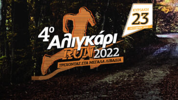aligkari run 2022