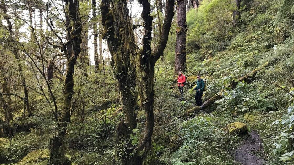 Kentavros Trail Pelion