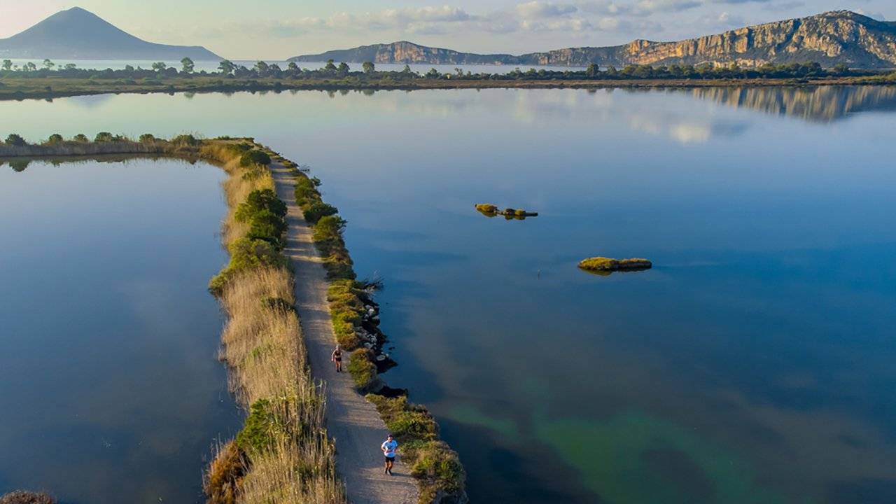 Navarino Challenge
