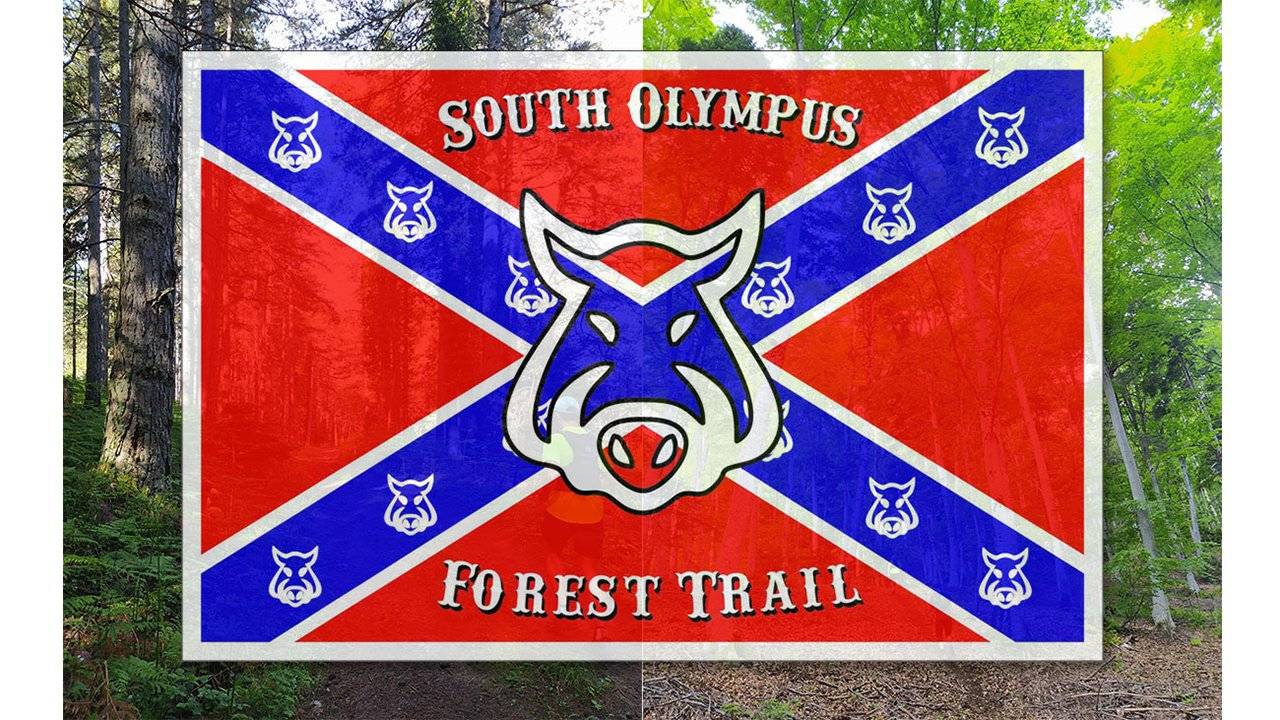South Olympus Forest Trail