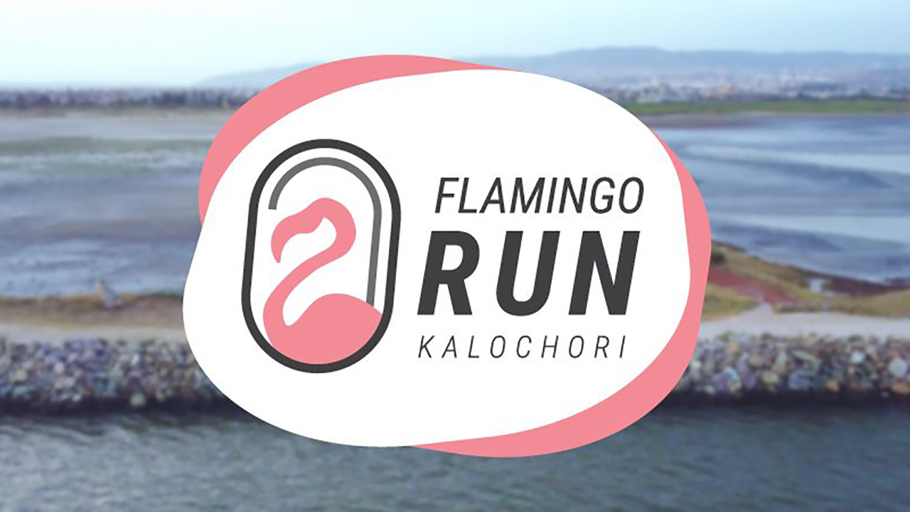 3ο Flamingo Run
