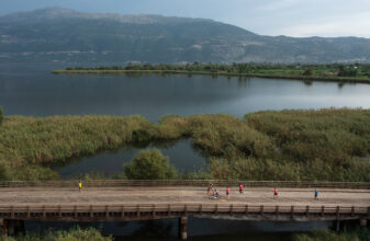 Ioannina Lake Run 2024