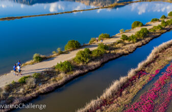 Navarino Challenge 2024