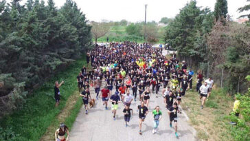 vergina-beer-run