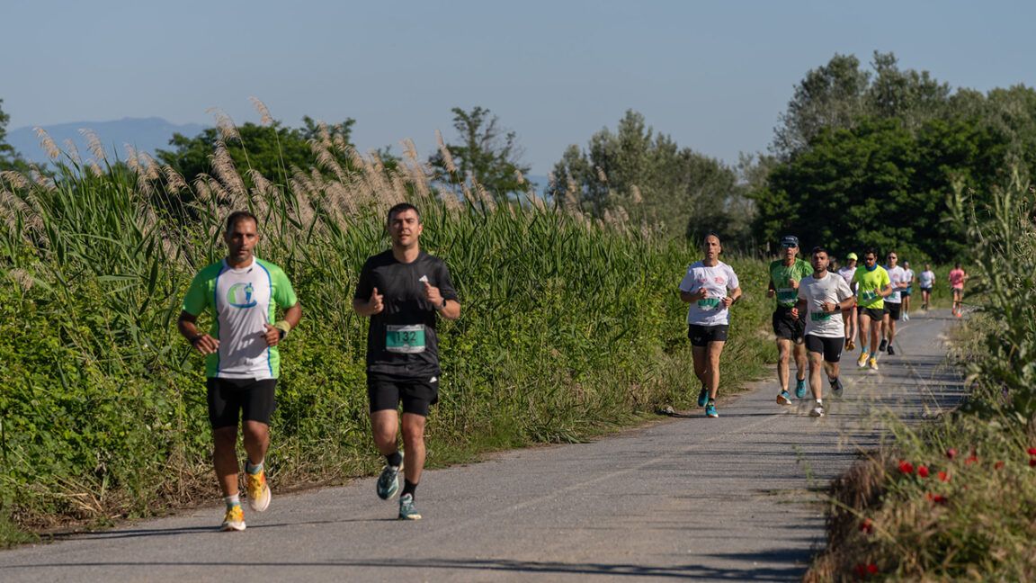 3o-axios-running-festival