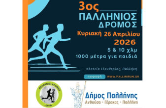 3ος Παλλήνιος δρόμος