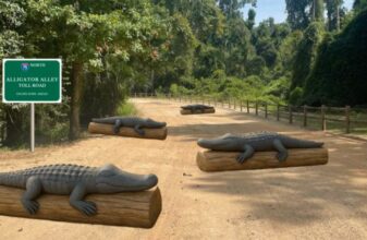 Παγκόσμιο Πρωτάθλημα ανωμάλου δρόμου: Το πάρκο που φτιάχτηκε για Cross Country!