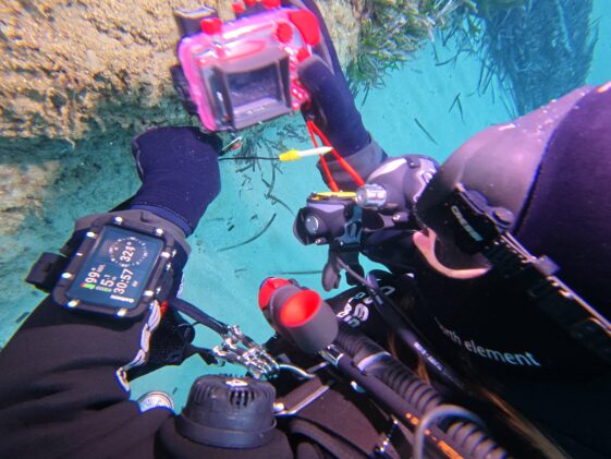 Garmin-Descent-X30-Antarctica