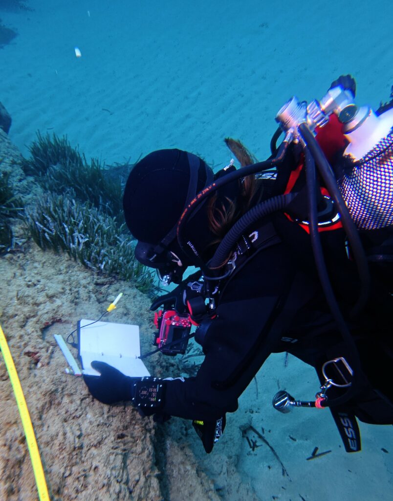 Garmin-Descent-X30-Antarctica